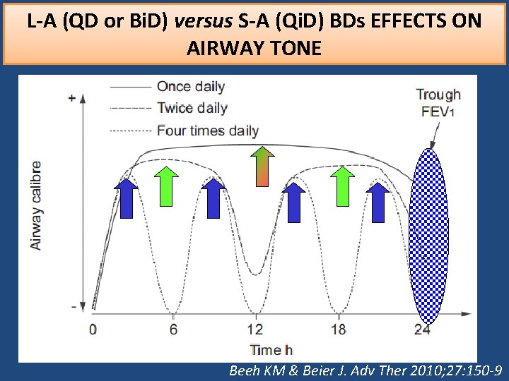 L-A (QD or Bi. D) versus S-A (Qi. D) BDs EFFECTS ON AIRWAY TONE L-A (QD or Bi. D) versus S-A (Qi. D) BDs EFFECTS ON AIRWAY TONE