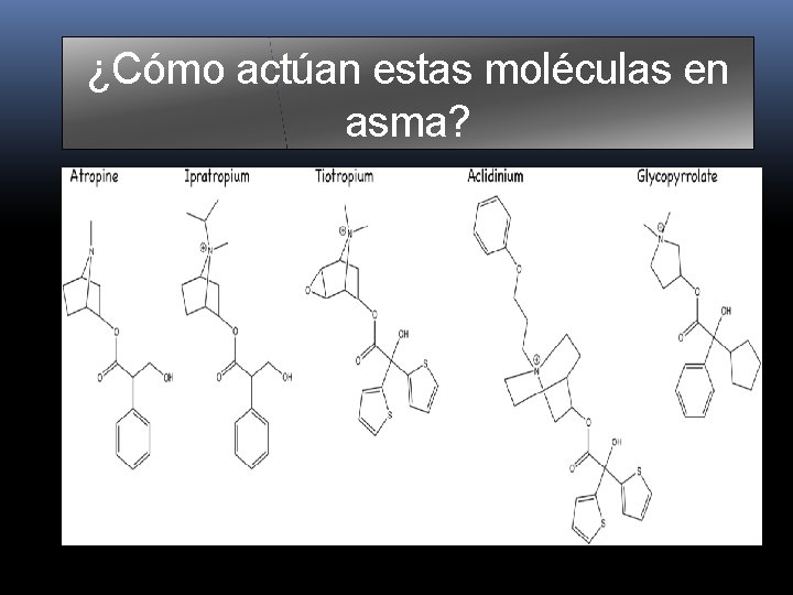 ¿Cómo actúan estas moléculas en asma? ¿Cómo actúan estas moléculas en asma?
