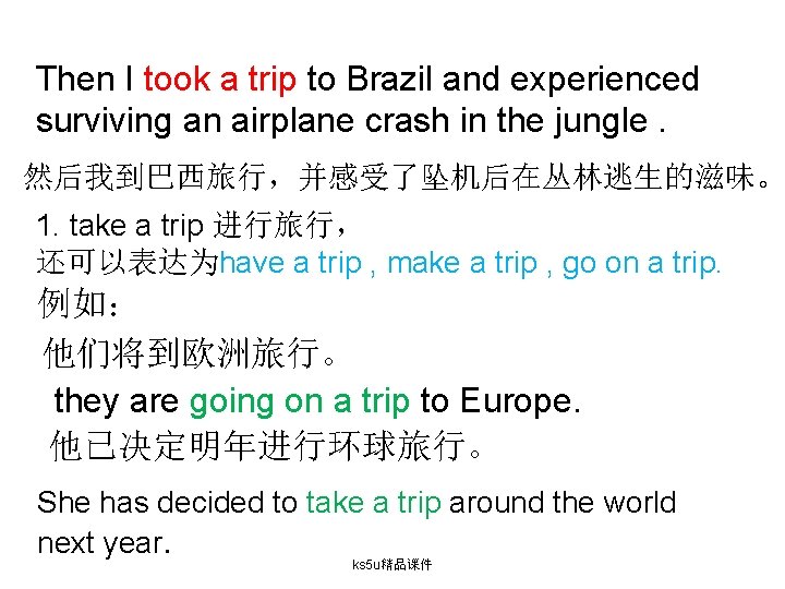 Then I took a trip to Brazil and experienced surviving an airplane crash in