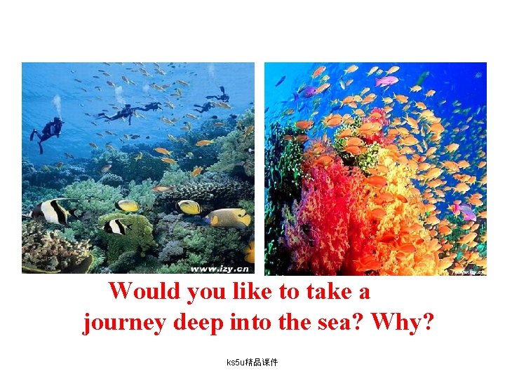 Would you like to take a journey deep into the sea? Why? ks 5