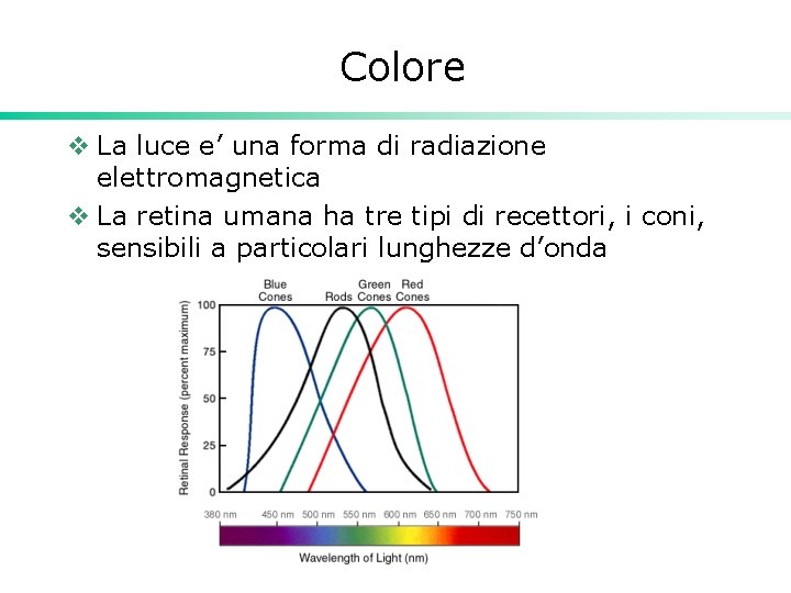 Colore v La luce e’ una forma di radiazione elettromagnetica v La retina umana