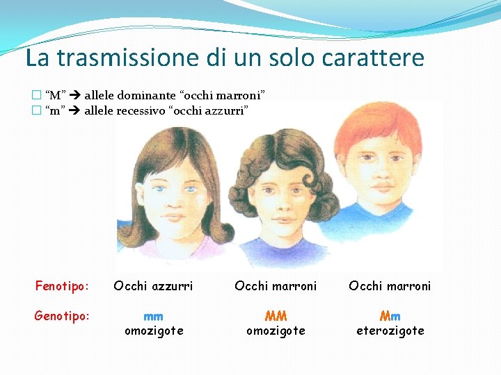 La trasmissione di un solo carattere � “M” allele dominante “occhi marroni” � “m”