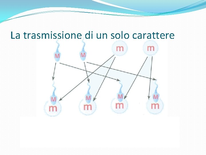 La trasmissione di un solo carattere 