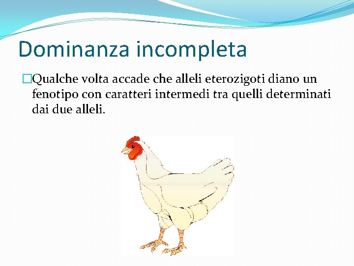 Dominanza incompleta �Qualche volta accade che alleli eterozigoti diano un fenotipo con caratteri intermedi