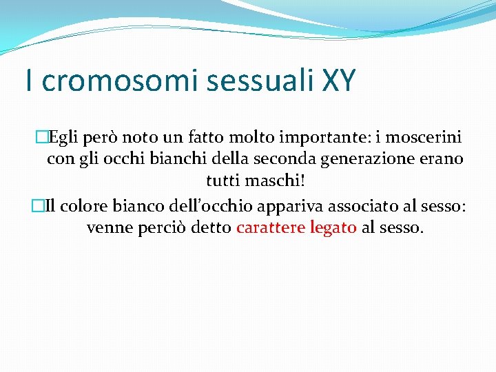I cromosomi sessuali XY �Egli però noto un fatto molto importante: i moscerini con