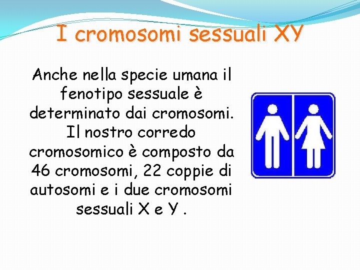 I cromosomi sessuali XY Anche nella specie umana il fenotipo sessuale è determinato dai