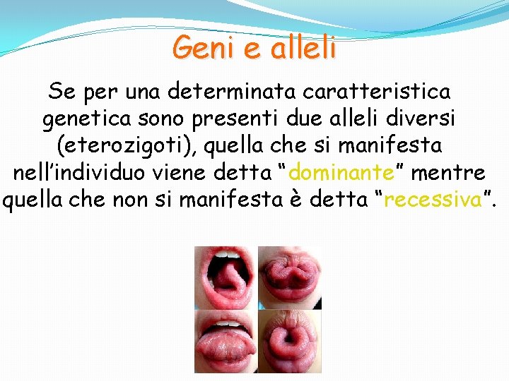 Geni e alleli Se per una determinata caratteristica genetica sono presenti due alleli diversi