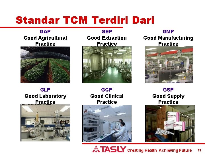 Standar TCM Terdiri Dari GAP Good Agricultural Practice GEP Good Extraction Practice GMP Good