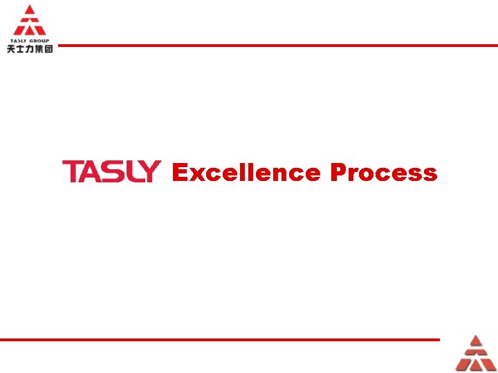 Excellence Process 