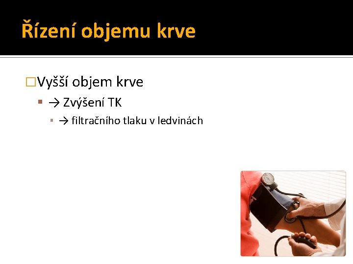 Řízení objemu krve �Vyšší objem krve → Zvýšení TK ▪ → filtračního tlaku v