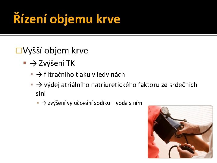 Řízení objemu krve �Vyšší objem krve → Zvýšení TK ▪ → filtračního tlaku v