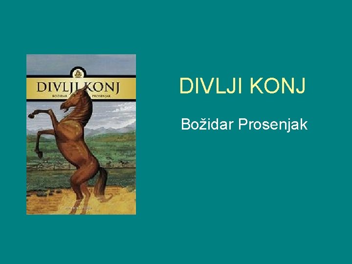 DIVLJI KONJ Božidar Prosenjak 