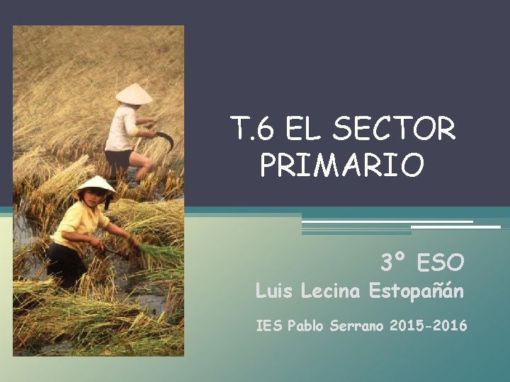 T. 6 EL SECTOR PRIMARIO 3º ESO Luis Lecina Estopañán IES Pablo Serrano 2015