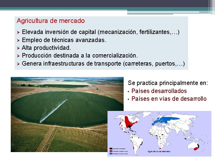 Agricultura de mercado Elevada inversión de capital (mecanización, fertilizantes, …) Ø Empleo de técnicas