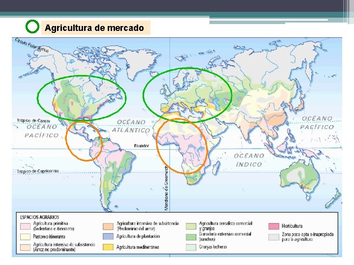 Agricultura de mercado 