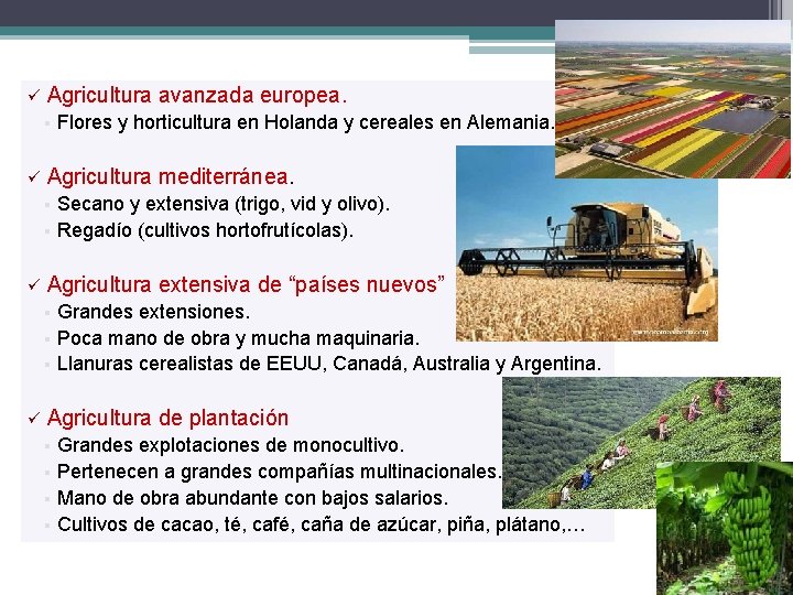 ü Agricultura avanzada europea. § ü Flores y horticultura en Holanda y cereales en