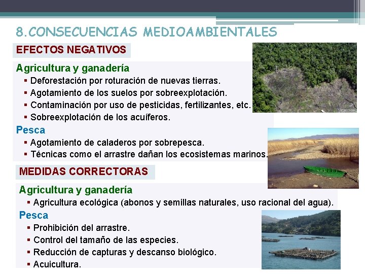 8. CONSECUENCIAS MEDIOAMBIENTALES EFECTOS NEGATIVOS Agricultura y ganadería § Deforestación por roturación de nuevas