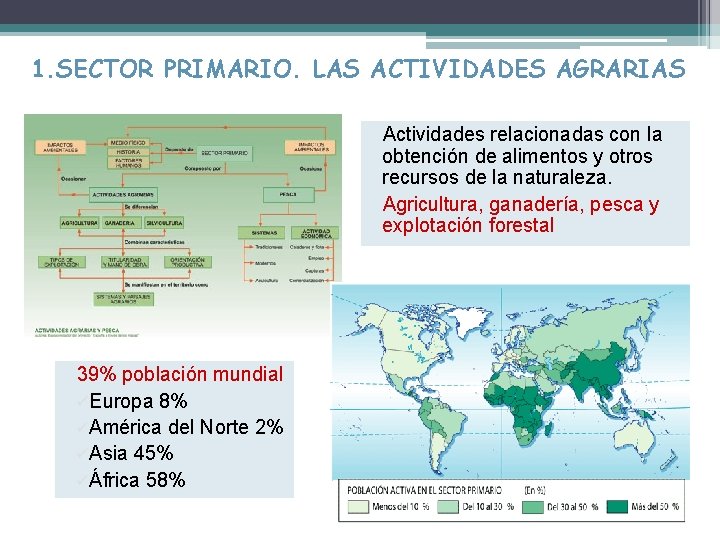 1. SECTOR PRIMARIO. LAS ACTIVIDADES AGRARIAS Actividades relacionadas con la obtención de alimentos y