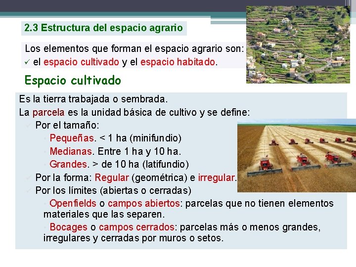 2. 3 Estructura del espacio agrario Los elementos que forman el espacio agrario son: