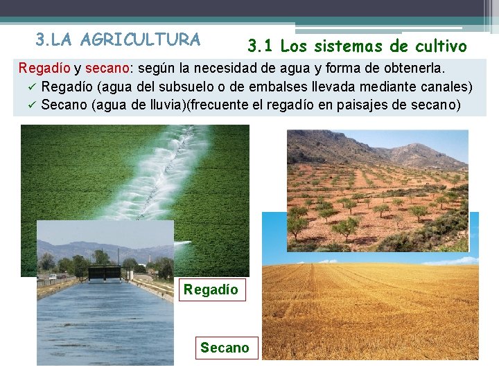 3. LA AGRICULTURA 3. 1 Los sistemas de cultivo Regadío y secano: según la