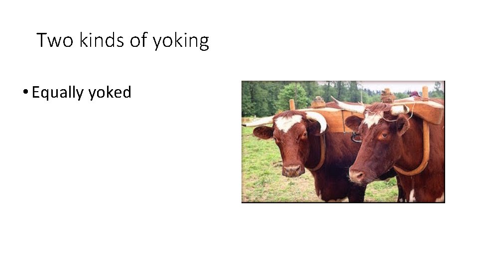 Two kinds of yoking • Equally yoked 