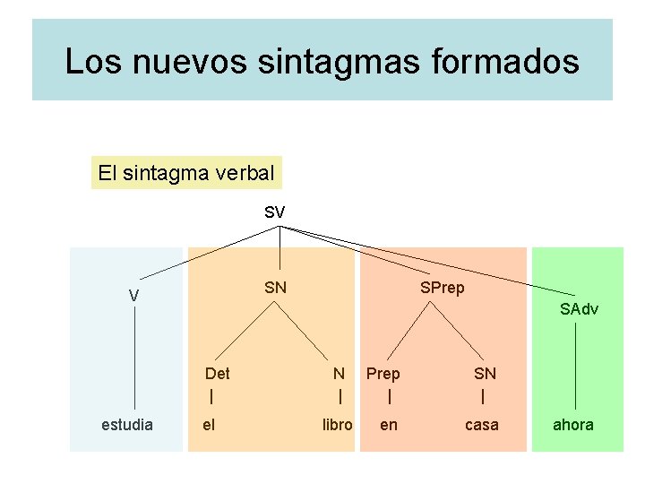 Los nuevos sintagmas formados El sintagma verbal SV SN V SAdv Det | estudia