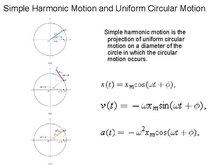 Simple Harmonic Motion and Uniform Circular Motion Simple harmonic motion is the projection of