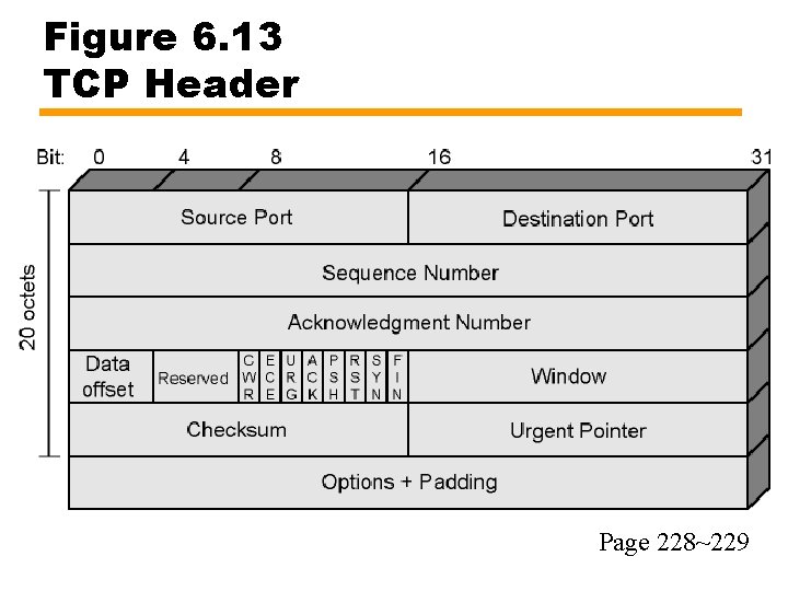 Figure 6. 13 TCP Header Page 228~229 