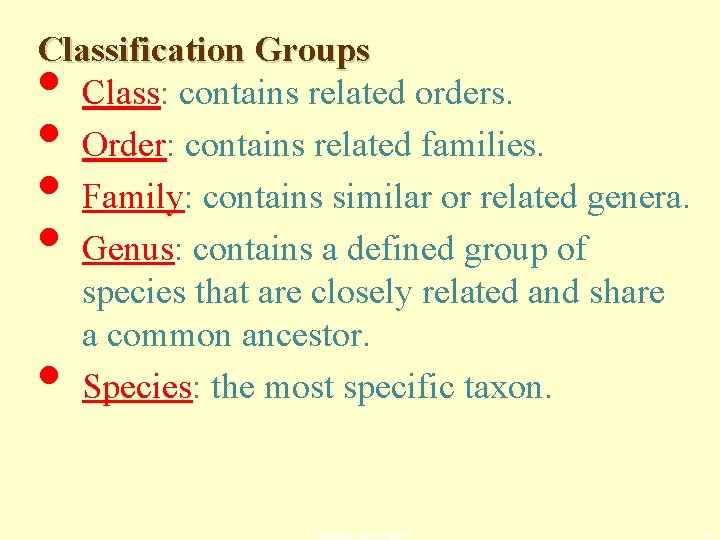 Classification Groups Class: contains related orders. Order: contains related families. Family: contains similar or