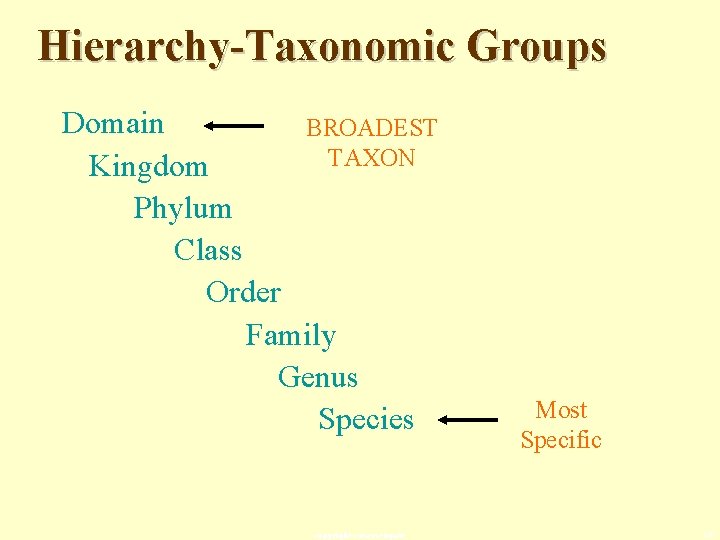 Hierarchy-Taxonomic Groups Domain BROADEST TAXON Kingdom Phylum Class Order Family Genus Species copyright cmassengale