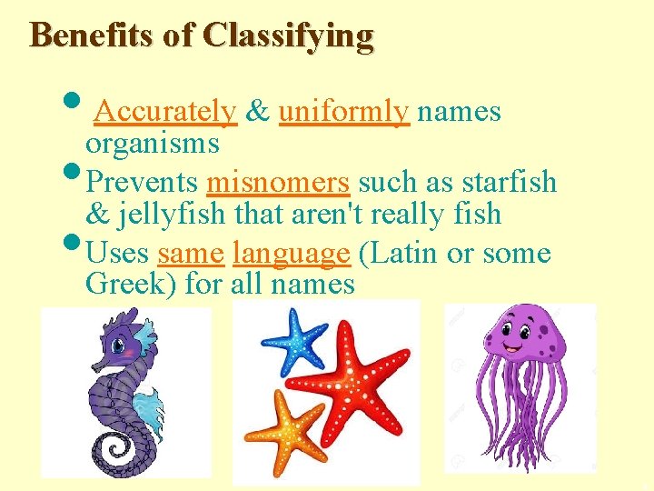 Benefits of Classifying • organisms Accurately & uniformly names • Prevents misnomers such as