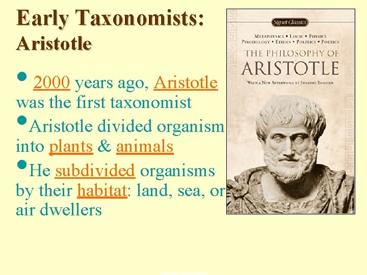 Early Taxonomists: Aristotle • 2000 years ago, Aristotle was the first taxonomist • Aristotle