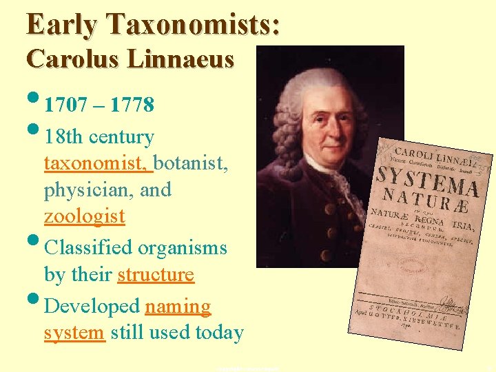 Early Taxonomists: Carolus Linnaeus • 1707 – 1778 • 18 th century • •