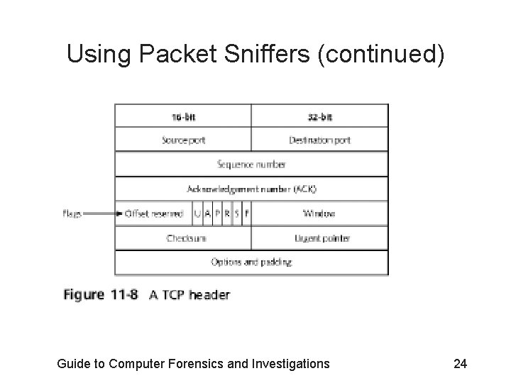 Using Packet Sniffers (continued) Guide to Computer Forensics and Investigations 24 