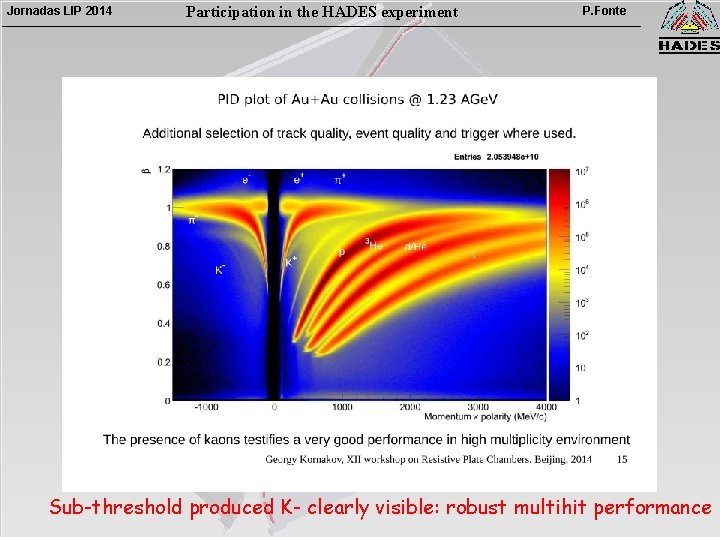 Jornadas LIP 2014 Participation in the HADES experiment P. Fonte Sub-threshold produced K- clearly