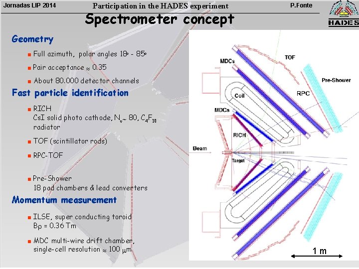 Jornadas LIP 2014 Participation in the HADES experiment Spectrometer concept P. Fonte Geometry §