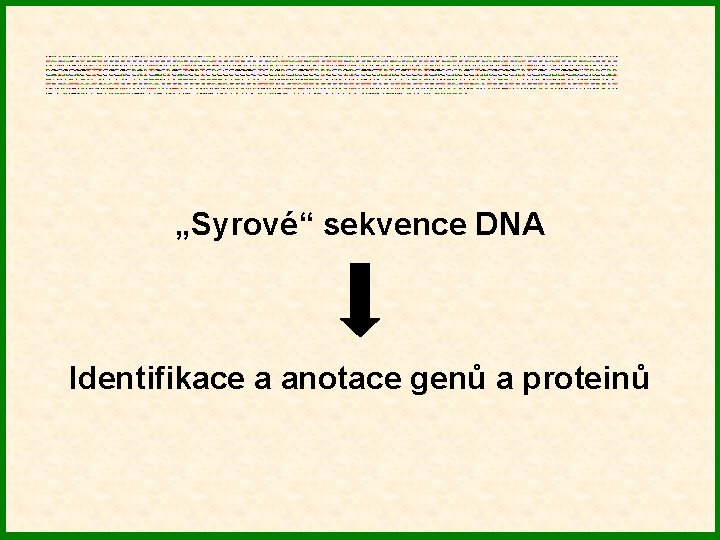 „Syrové“ sekvence DNA Identifikace a anotace genů a proteinů 