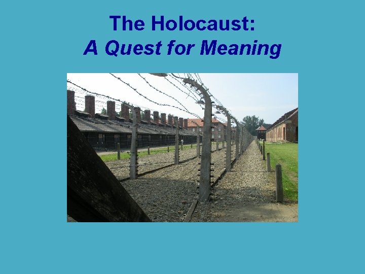 The Holocaust: A Quest for Meaning 