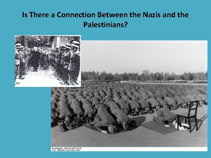 Is There a Connection Between the Nazis and the Palestinians? 