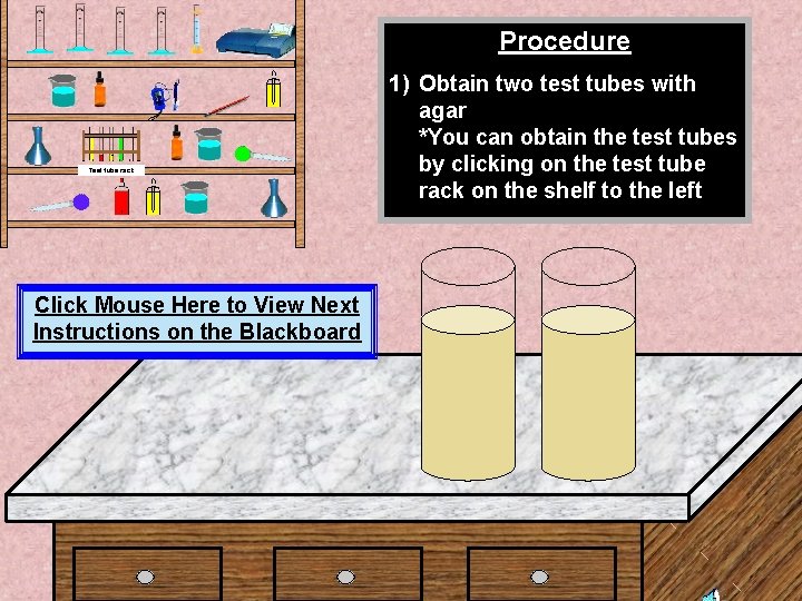 Procedure Test tube rack Click Mouse Here to View Next Instructions on the Blackboard
