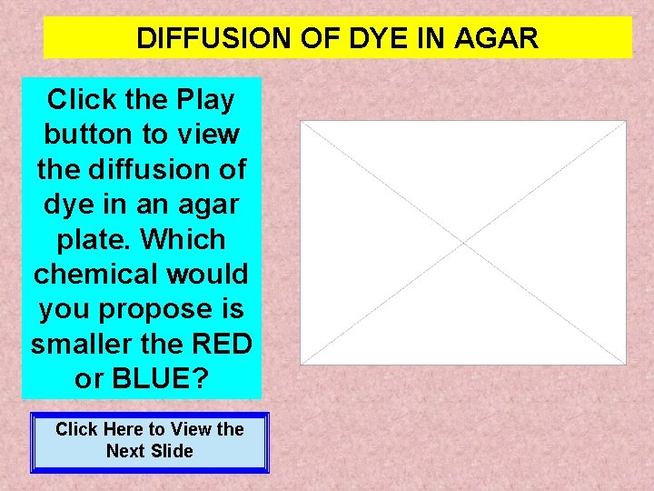 DIFFUSION OF DYE IN AGAR Click the Play button to view the diffusion of