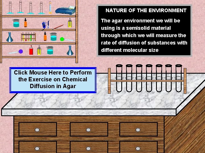 NATURE OF THE ENVIRONMENT The agar environment we will be using is a semisolid