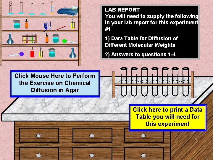 LAB REPORT You will need to supply the following in your lab report for