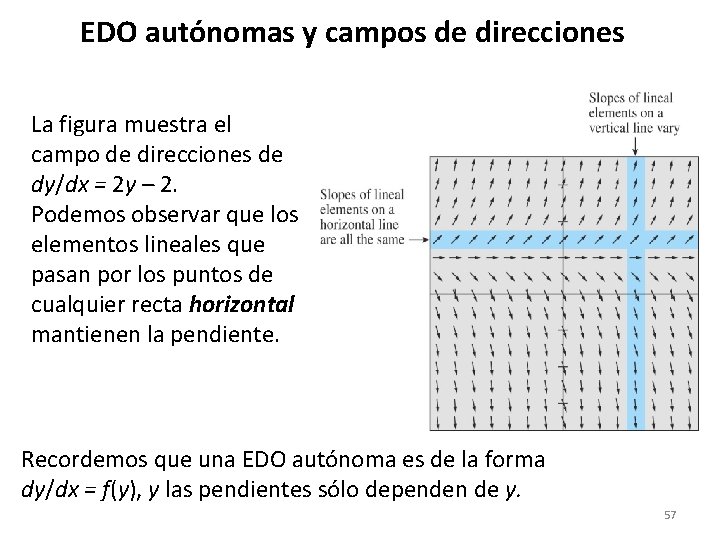 EDO autónomas y campos de direcciones La figura muestra el campo de direcciones de EDO autónomas y campos de direcciones La figura muestra el campo de direcciones de