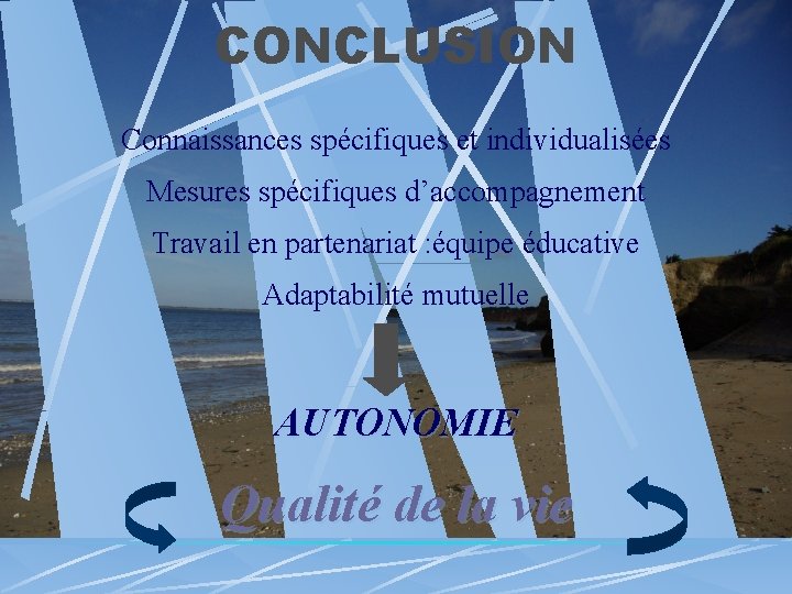 CONCLUSION Connaissances spécifiques et individualisées Mesures spécifiques d’accompagnement Travail en partenariat : équipe éducative
