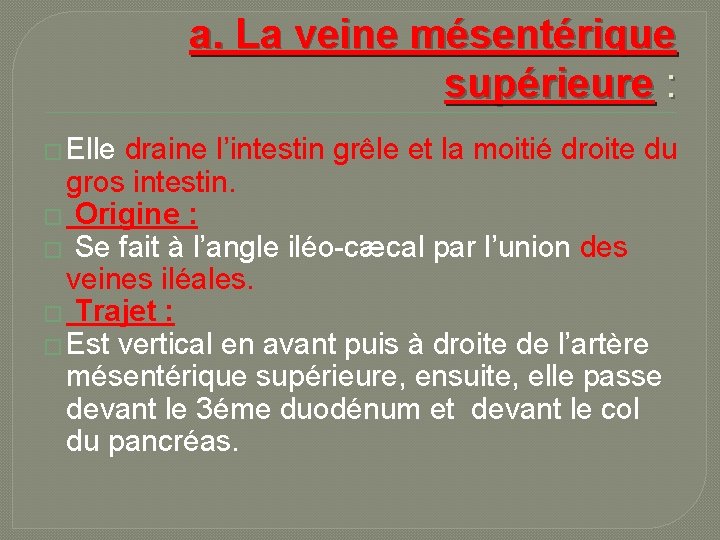 a. La veine mésentérique supérieure : � Elle draine l’intestin grêle et la moitié