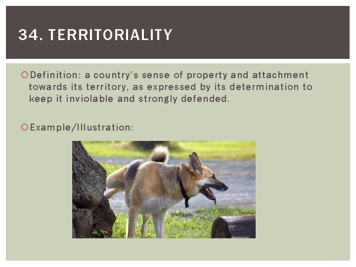 34. TERRITORIALITY Definition: a country’s sense of property and attachment towards its territory, as