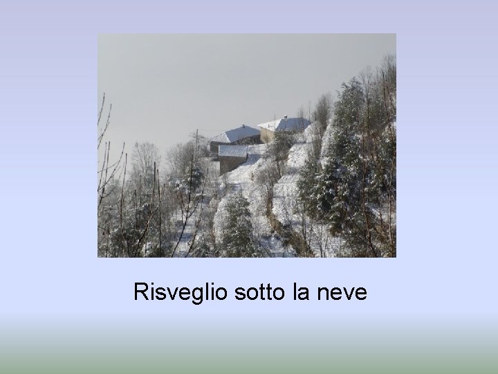 Risveglio sotto la neve 