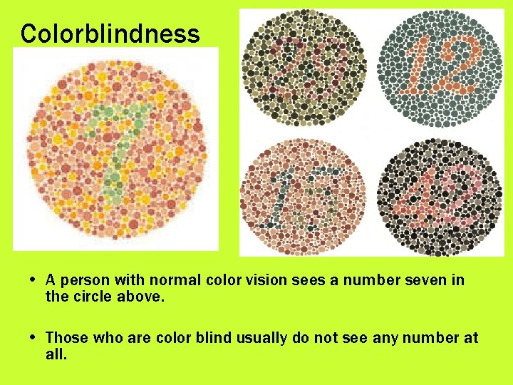 Colorblindness • A person with normal color vision sees a number seven in the