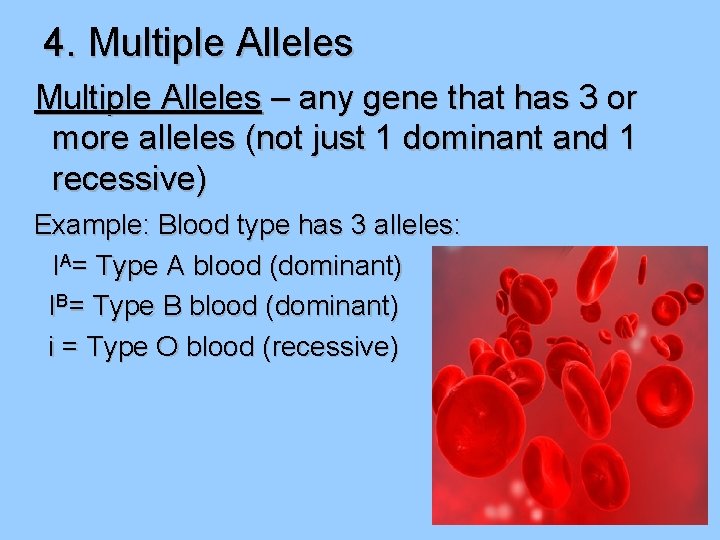 4. Multiple Alleles – any gene that has 3 or more alleles (not just